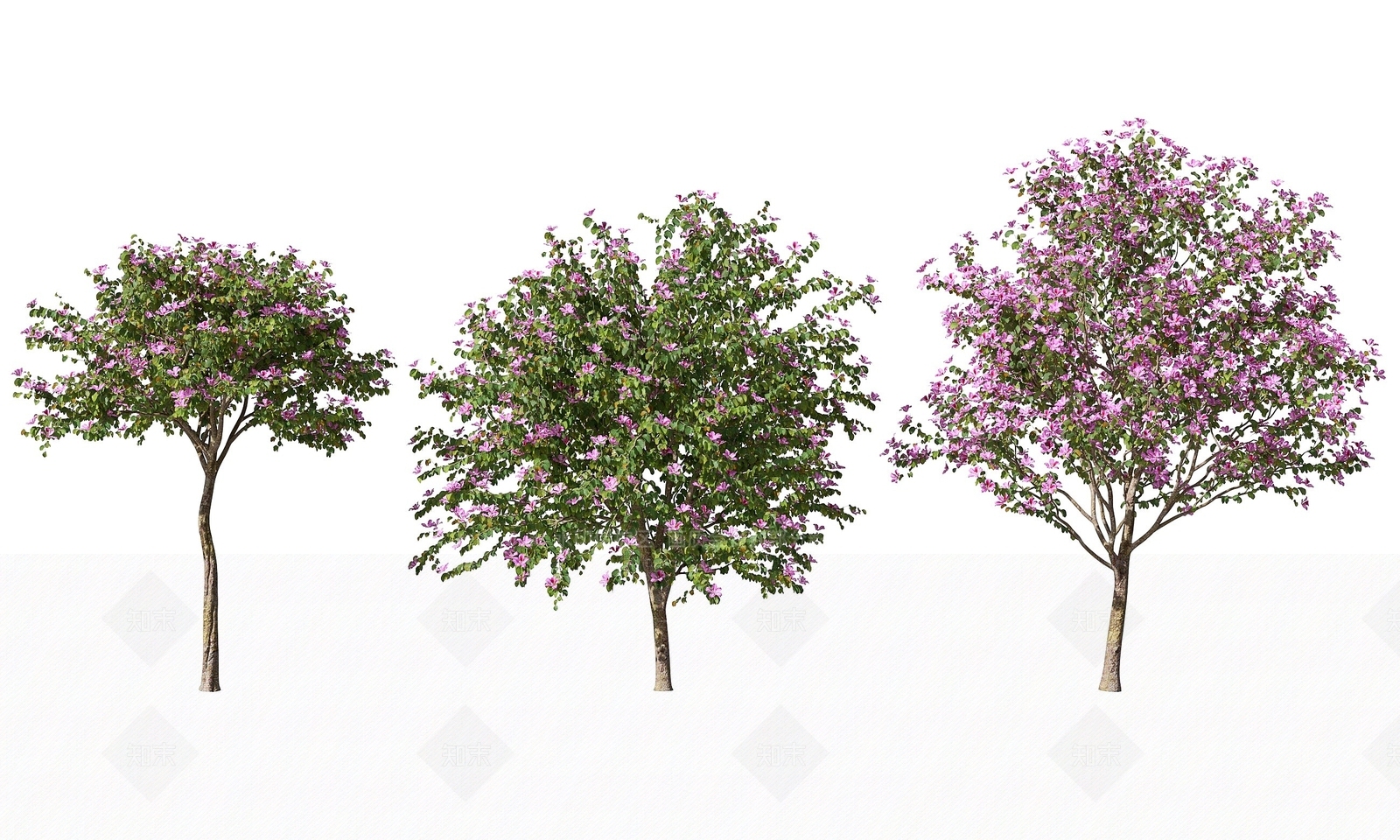 现代景观树3D模型下载【ID:1193425441】