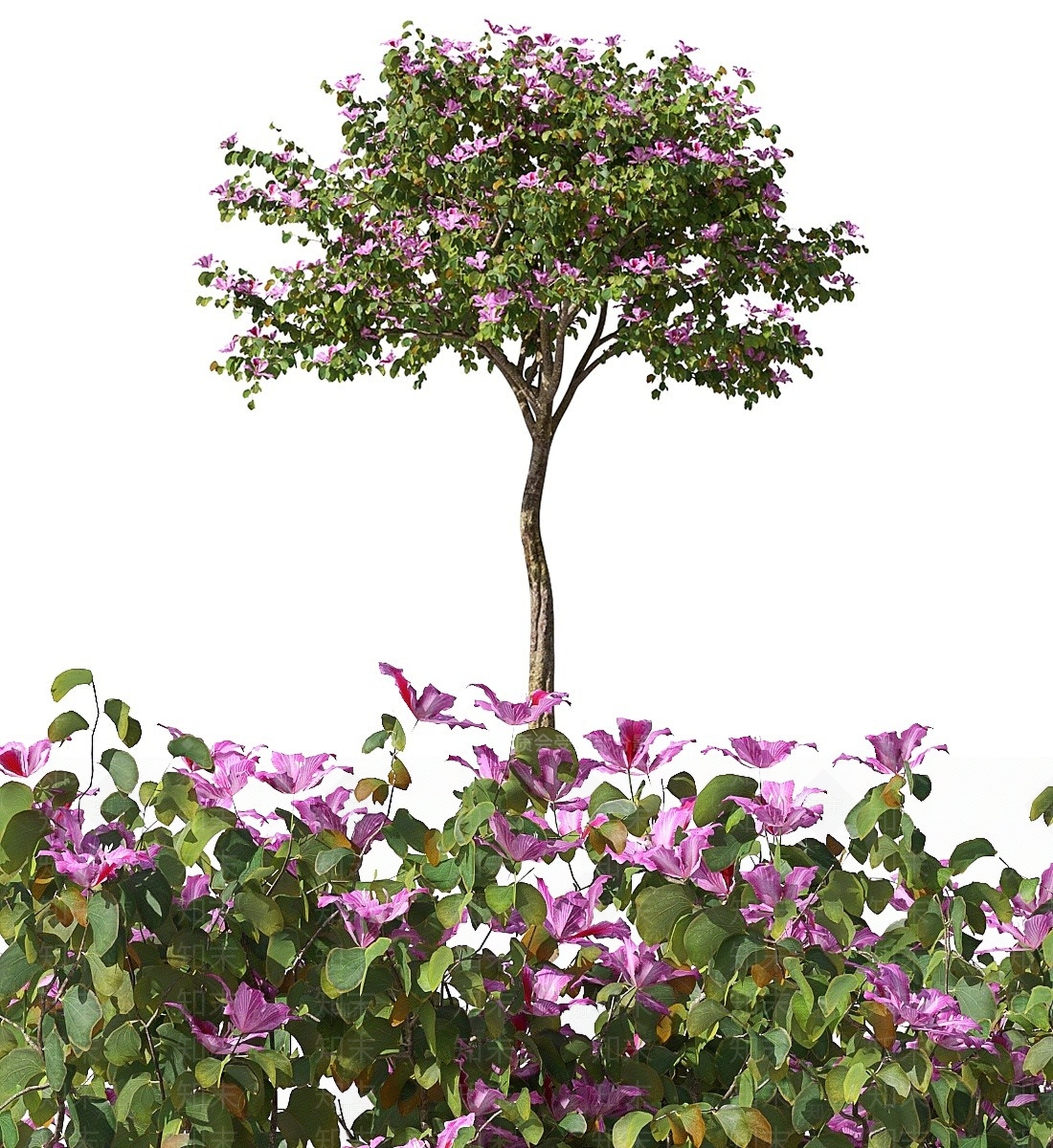 现代景观树3D模型下载【ID:1193425441】