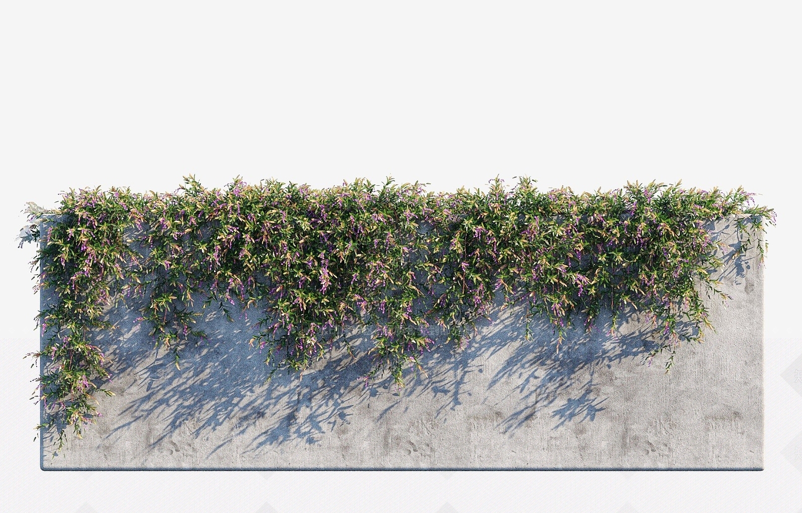 现代绿植藤蔓植物墙紫哈登柏豆3D模型下载【ID:1193430962】
