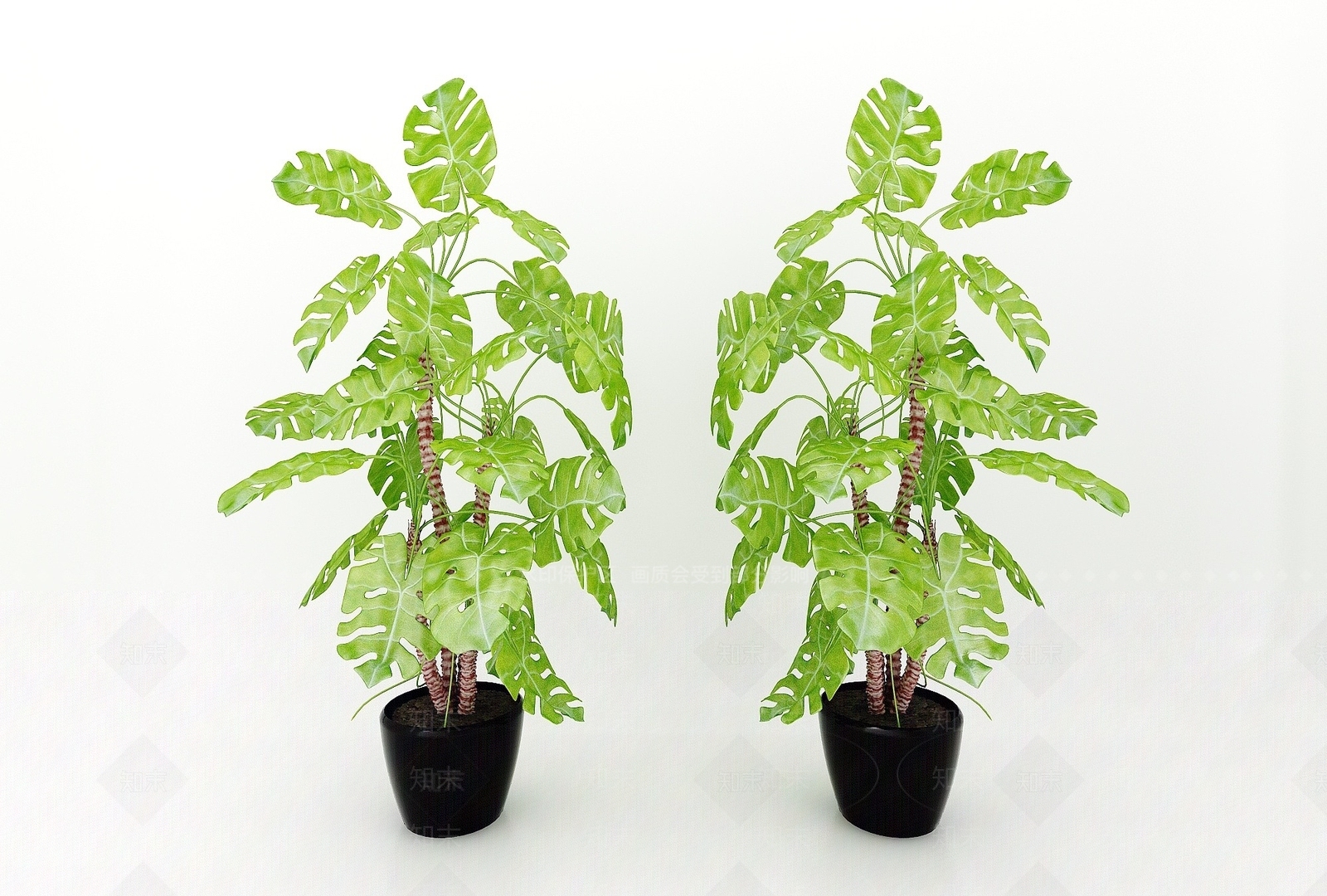 现代植物绿植3D模型下载【ID:1193432170】
