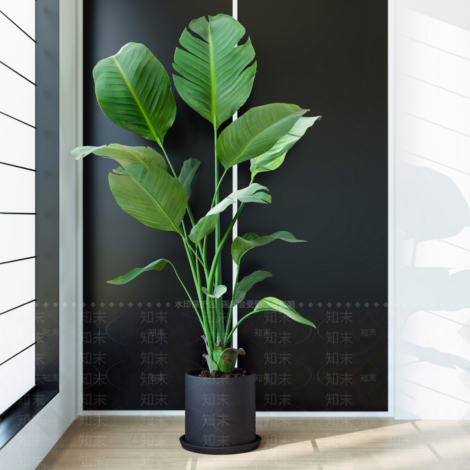 盆栽SU模型下载【ID:1193433476】