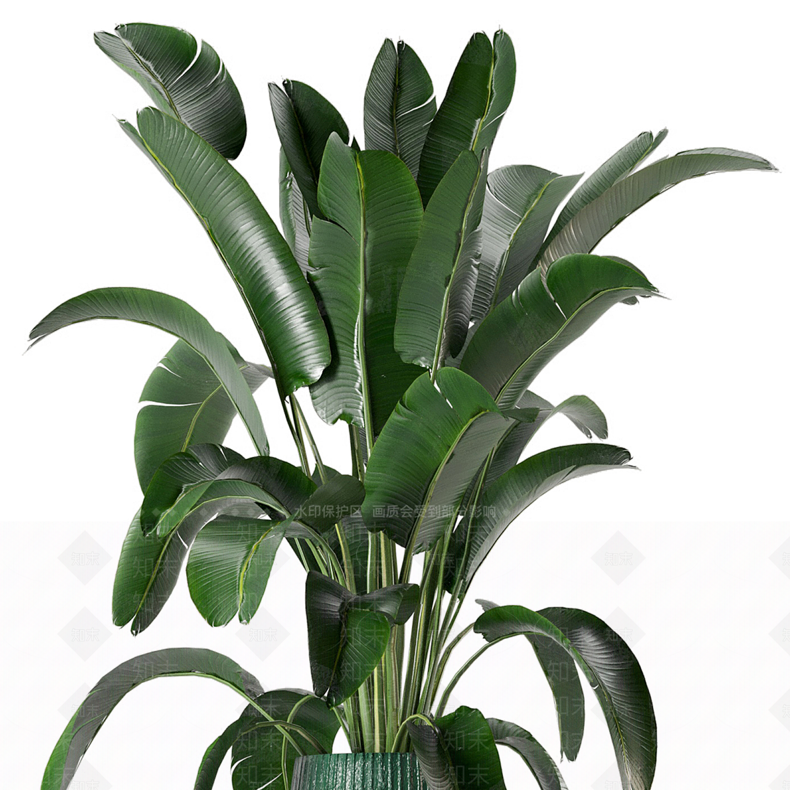 盆栽3D模型下载【ID:1193449105】