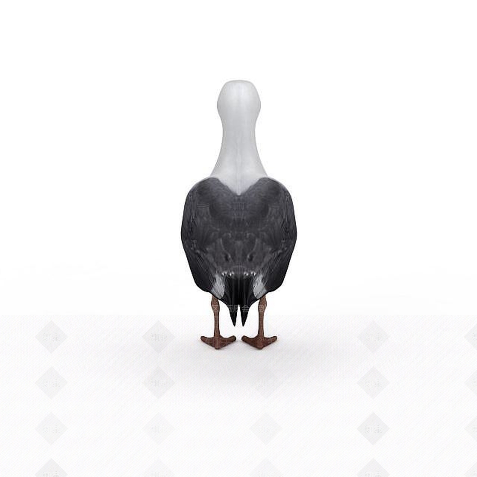现代爬行类动物3D模型下载【ID:1193454870】