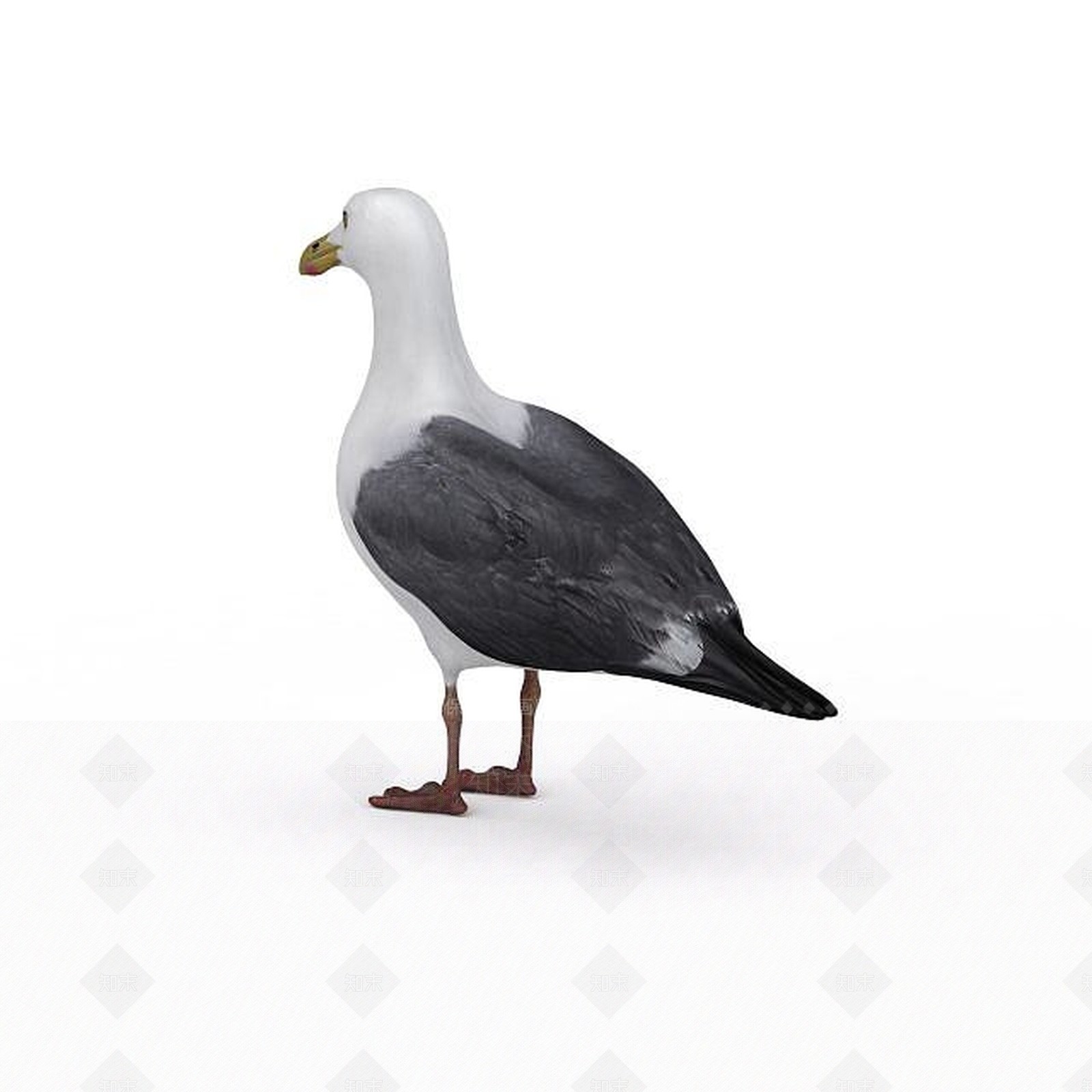 现代爬行类动物3D模型下载【ID:1193454870】