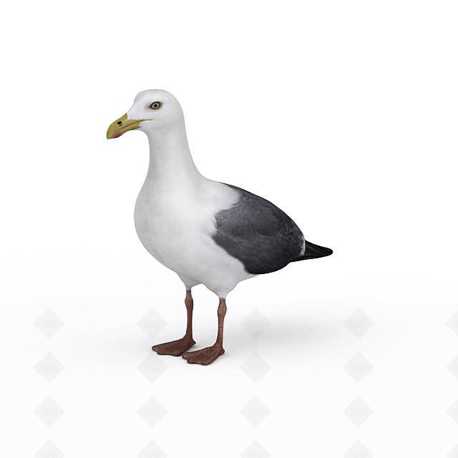 现代爬行类动物3D模型下载【ID:1193454870】