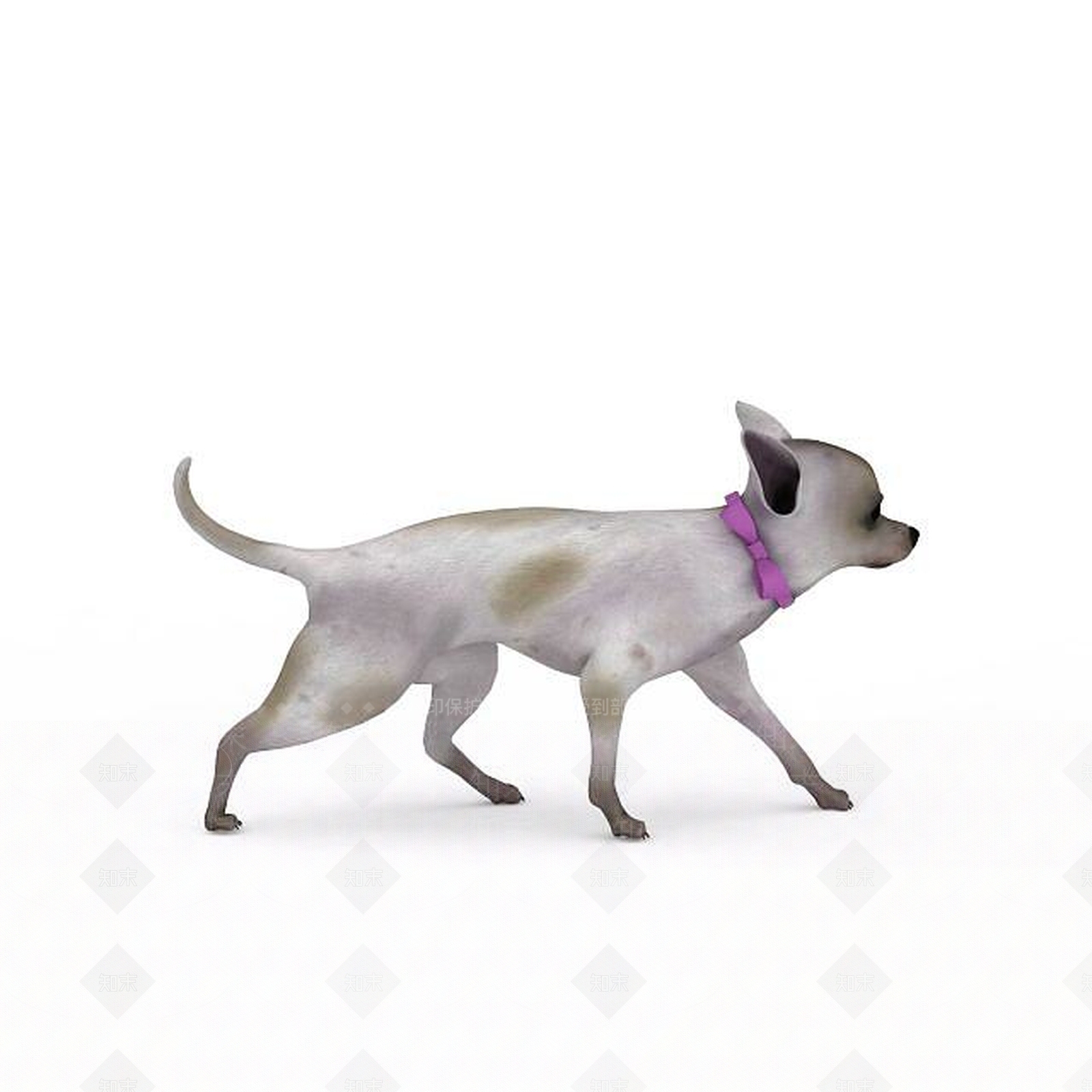 现代爬行类动物3D模型下载【ID:1193454873】