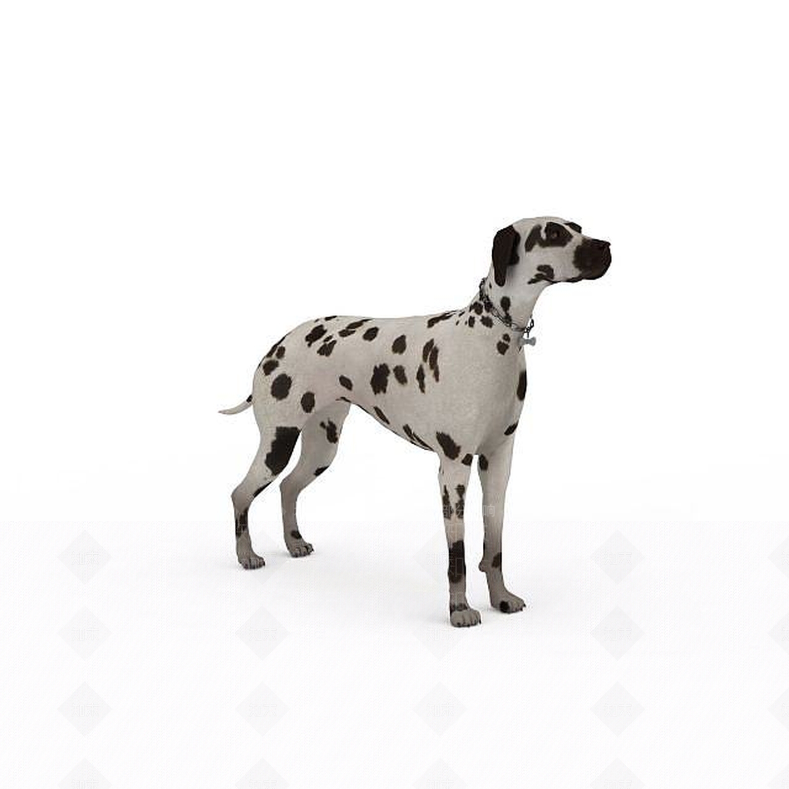现代爬行类动物3D模型下载【ID:1193454834】