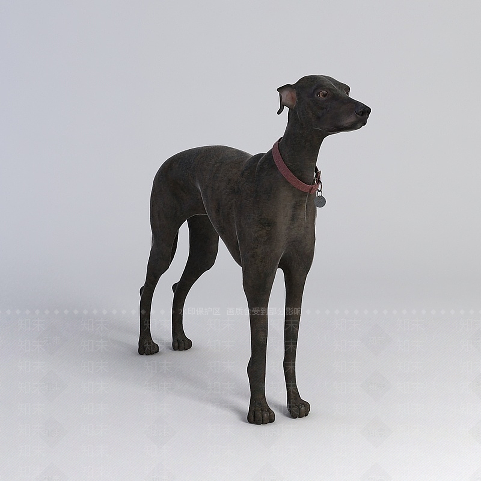 现代爬行类动物3D模型下载【ID:1193454869】
