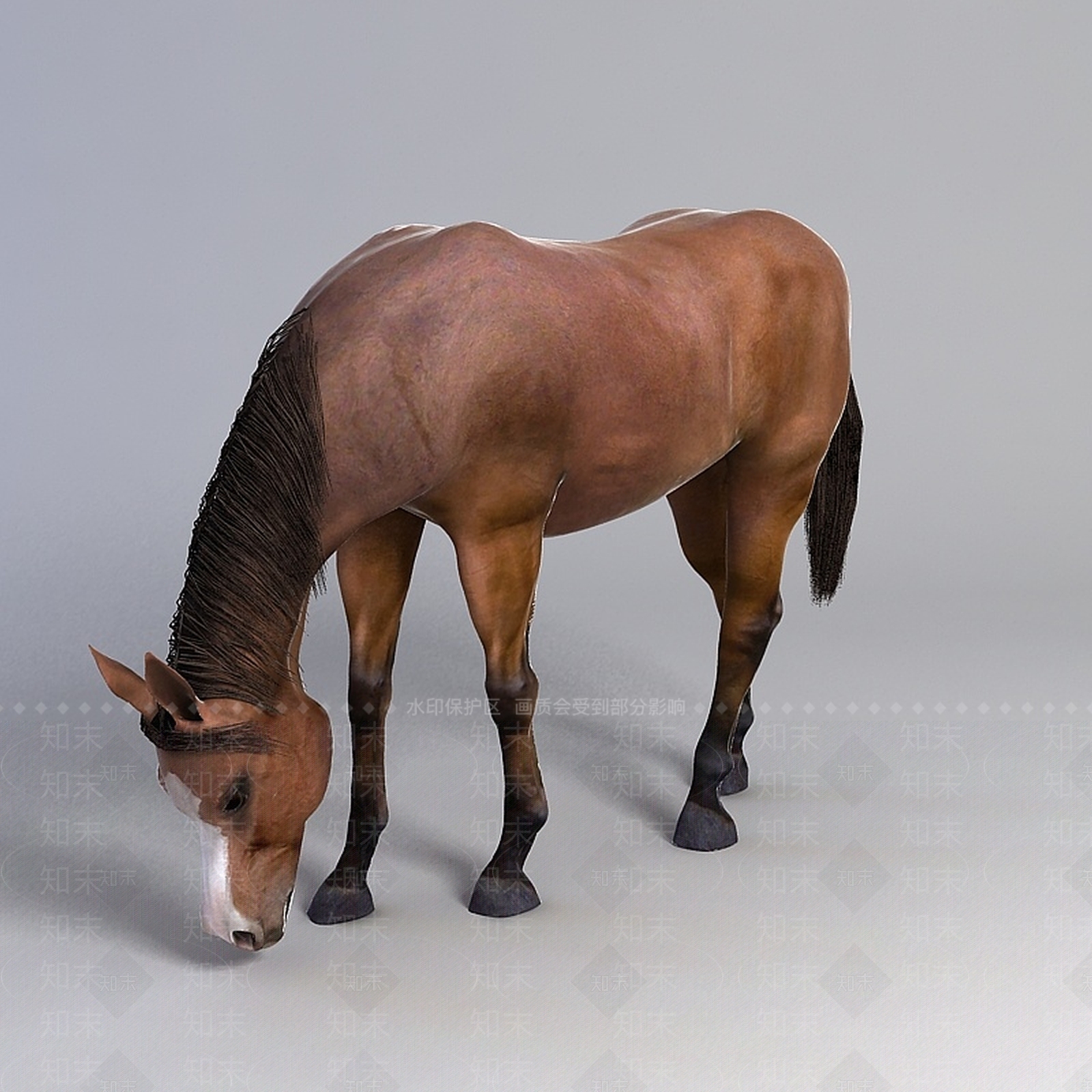 现代爬行类动物3D模型下载【ID:1193454962】