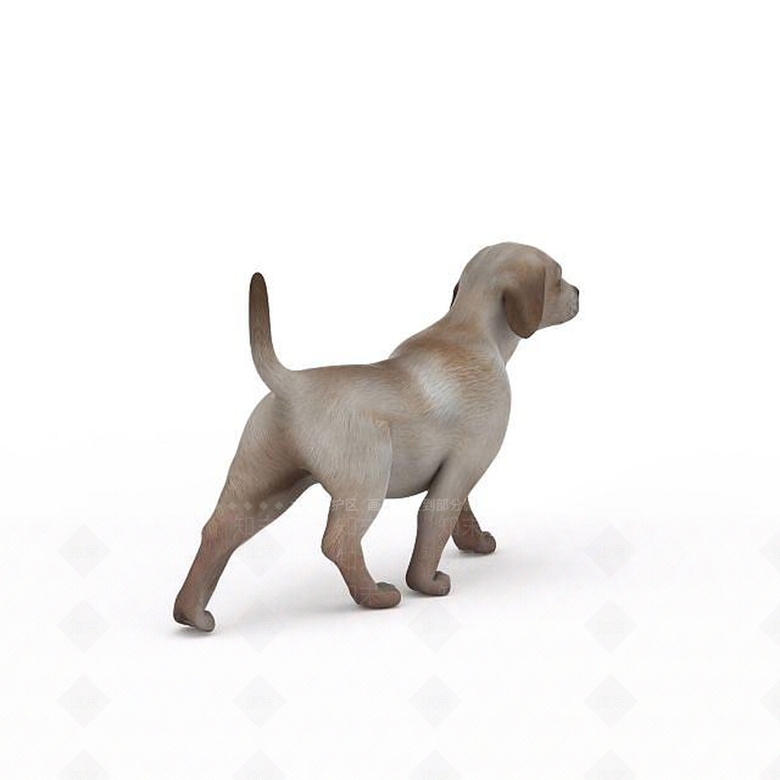 现代爬行类动物3D模型下载【ID:1193454943】