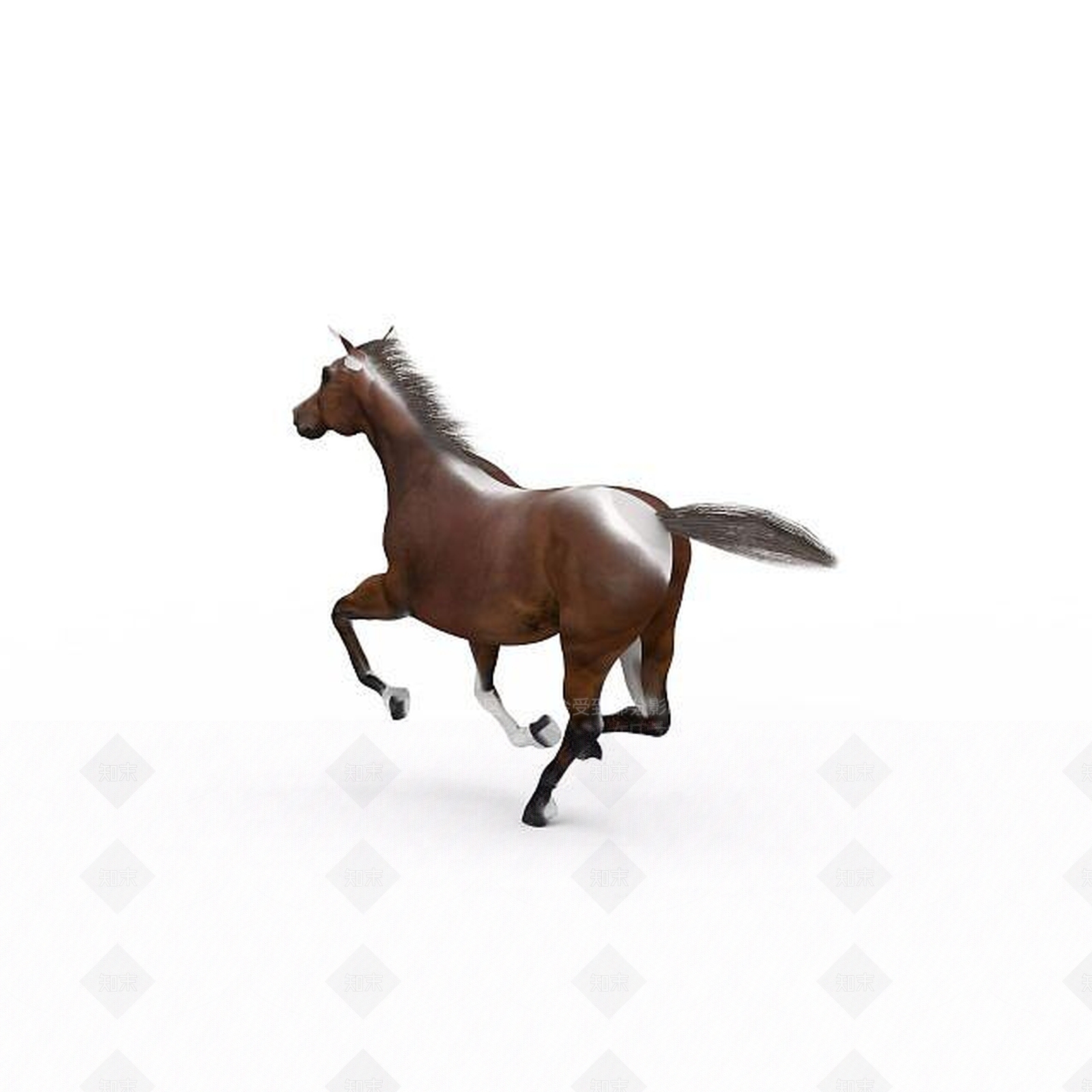 现代爬行类动物3D模型下载【ID:1193454965】
