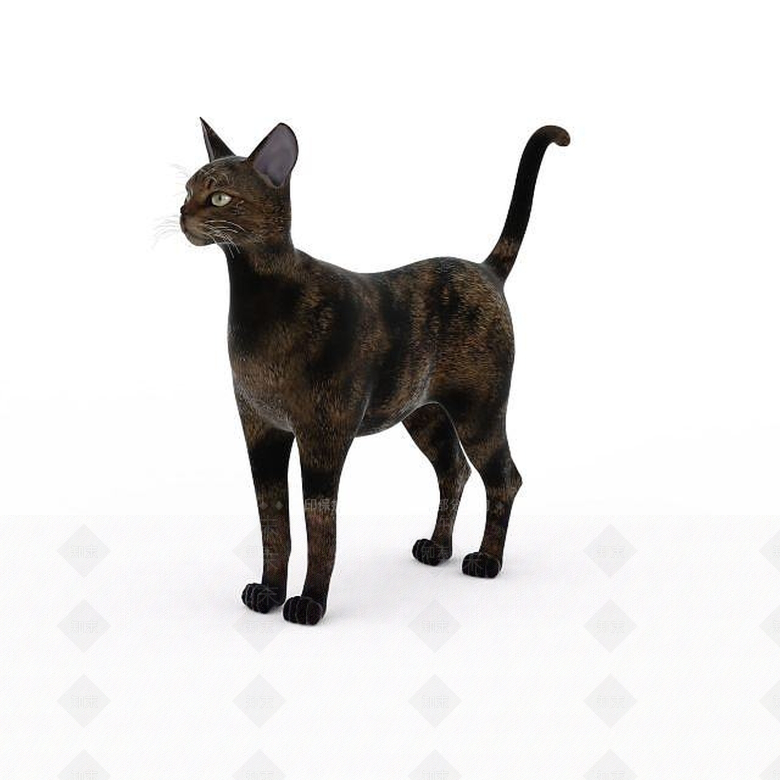 现代爬行类动物3D模型下载【ID:1193455027】