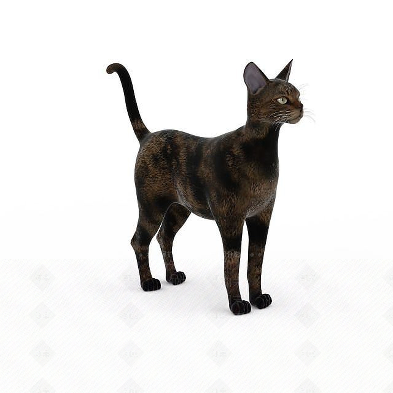 现代爬行类动物3D模型下载【ID:1193455027】