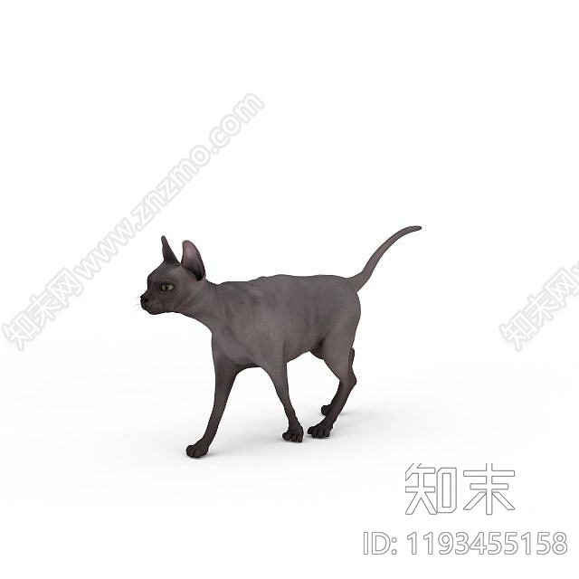 现代爬行类动物3D模型下载【ID:1193455158】