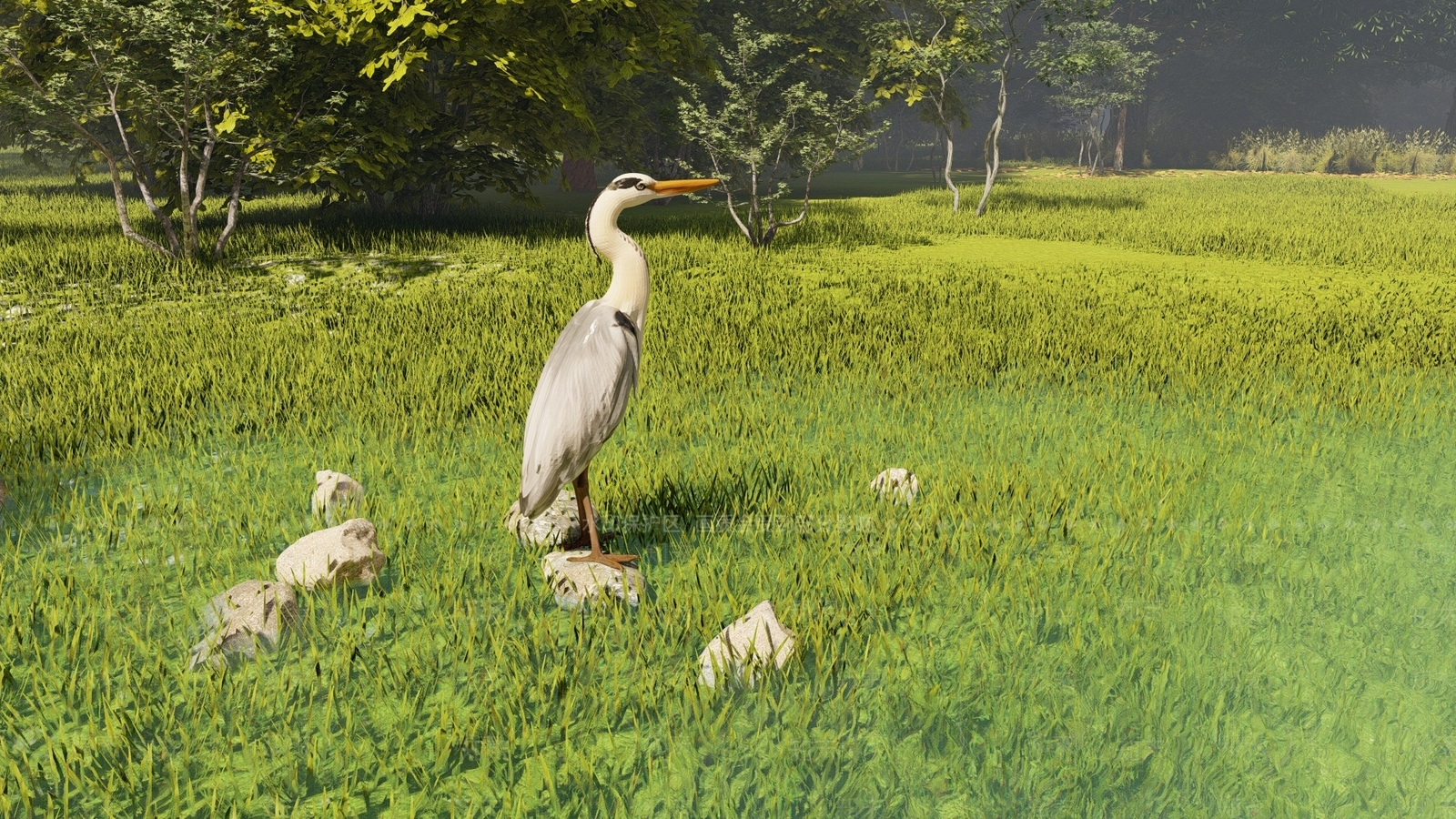 飞行类动物3D模型下载【ID:1193501918】