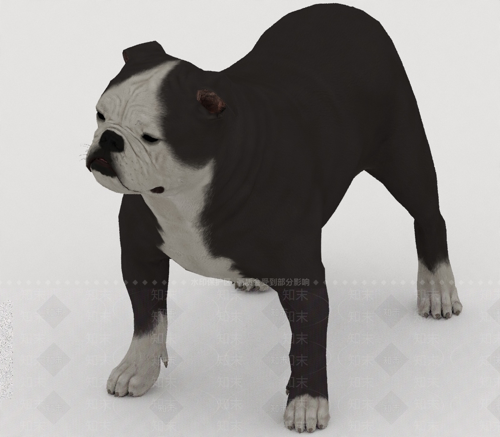 其他动物3D模型下载【ID:1193509462】