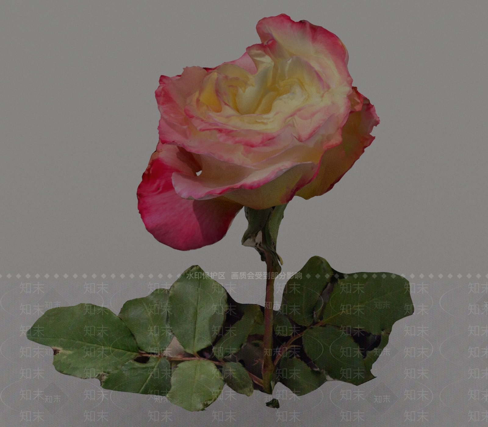 花3D模型下载【ID:1193513694】
