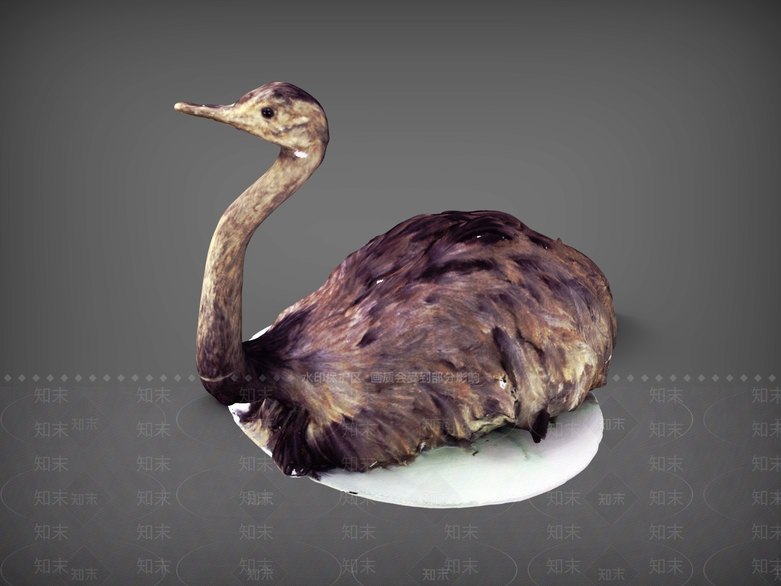 飞行类动物3D模型下载【ID:1193514815】
