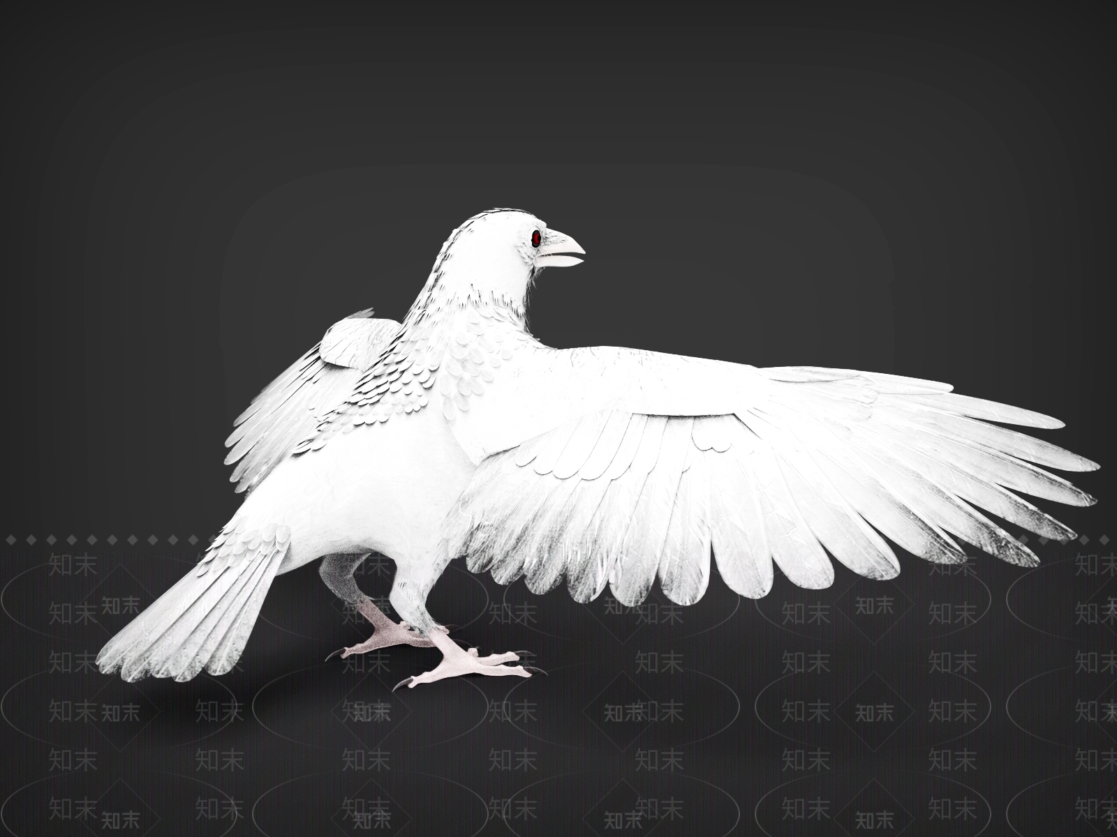 飞行类动物3D模型下载【ID:1193515135】