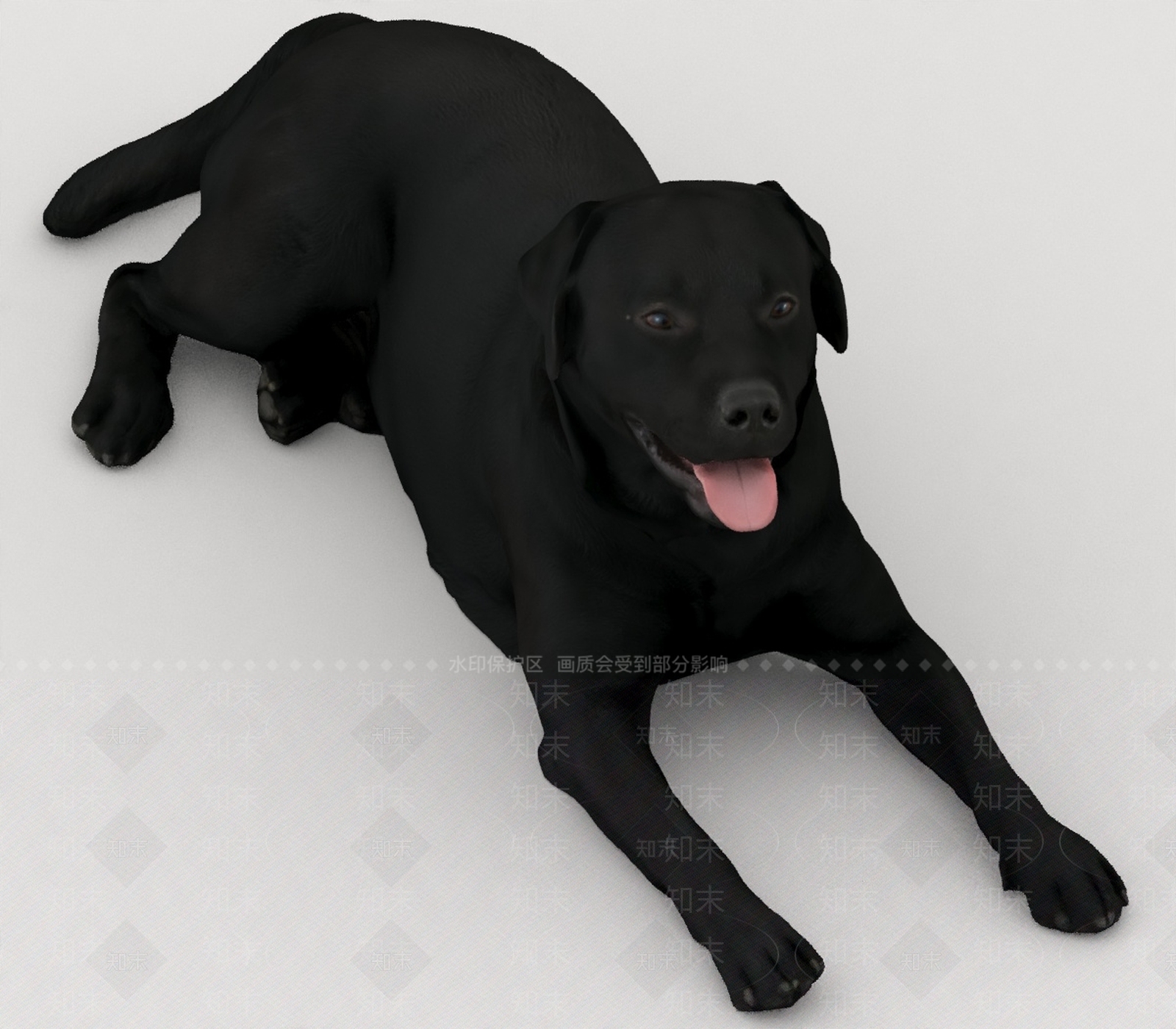 其他动物3D模型下载【ID:1193515561】