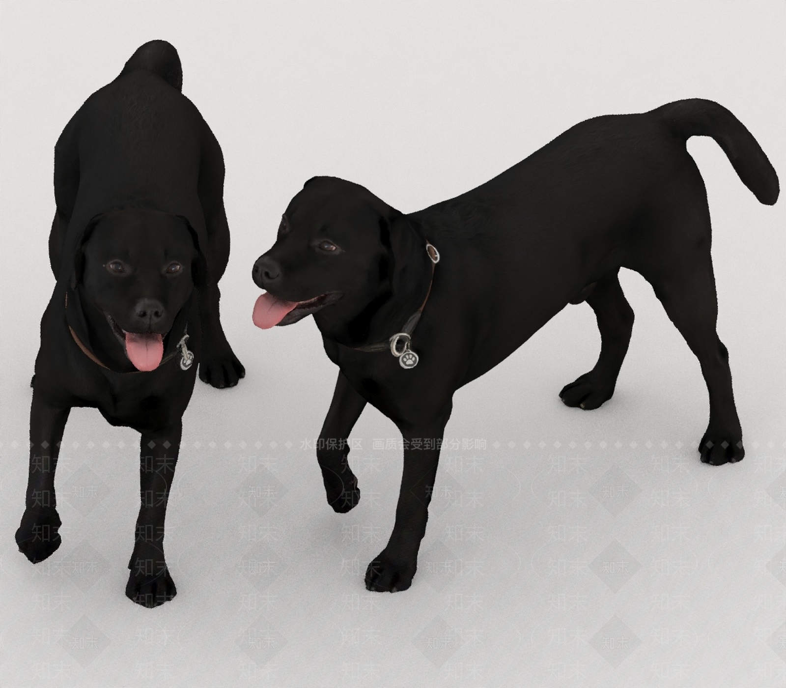 其他动物3D模型下载【ID:1193515702】