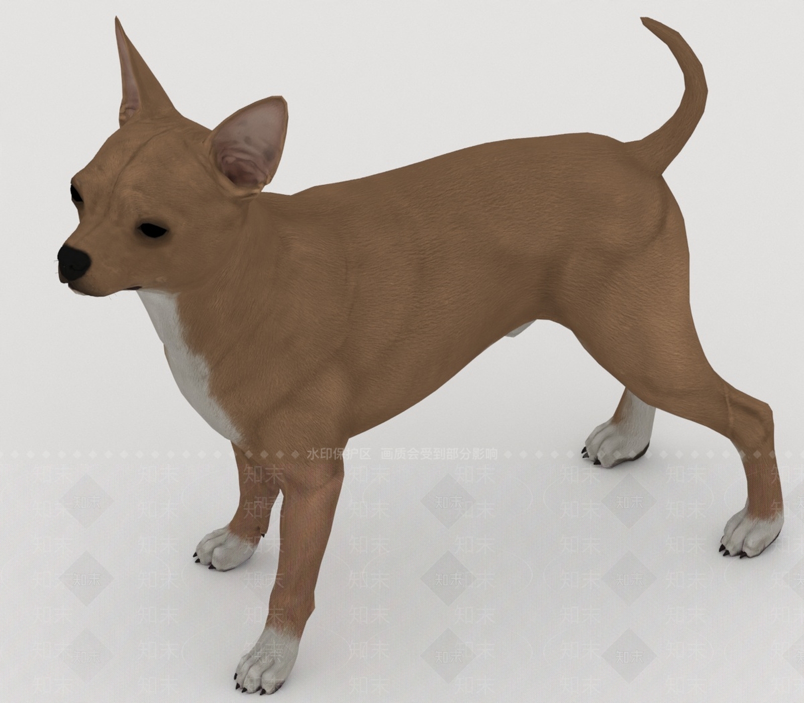 其他动物3D模型下载【ID:1193515822】