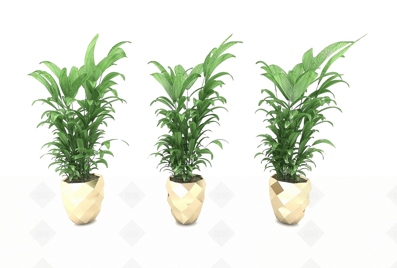 现代盆栽绿植3D模型下载【ID:1193551337】