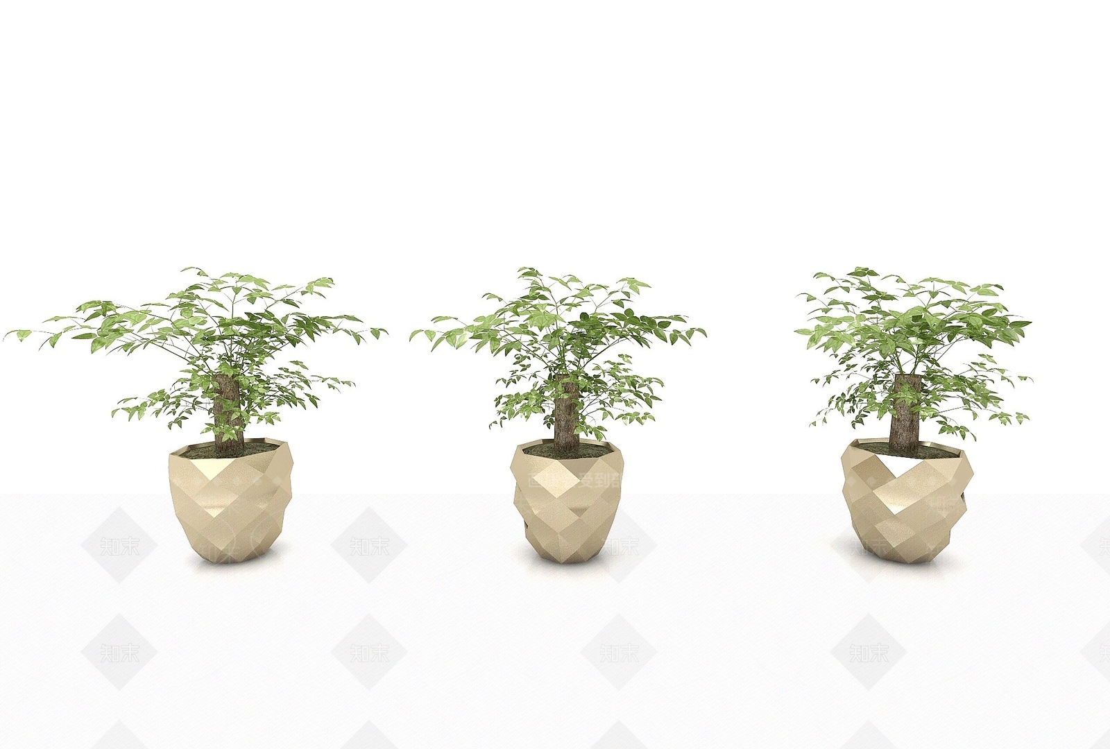 现代绿植盆栽幸福树3D模型下载【ID:1193552405】