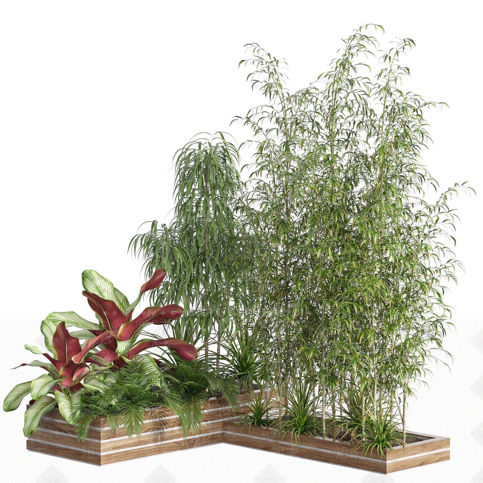 现代绿化花基竹子3D模型下载【ID:1193553241】