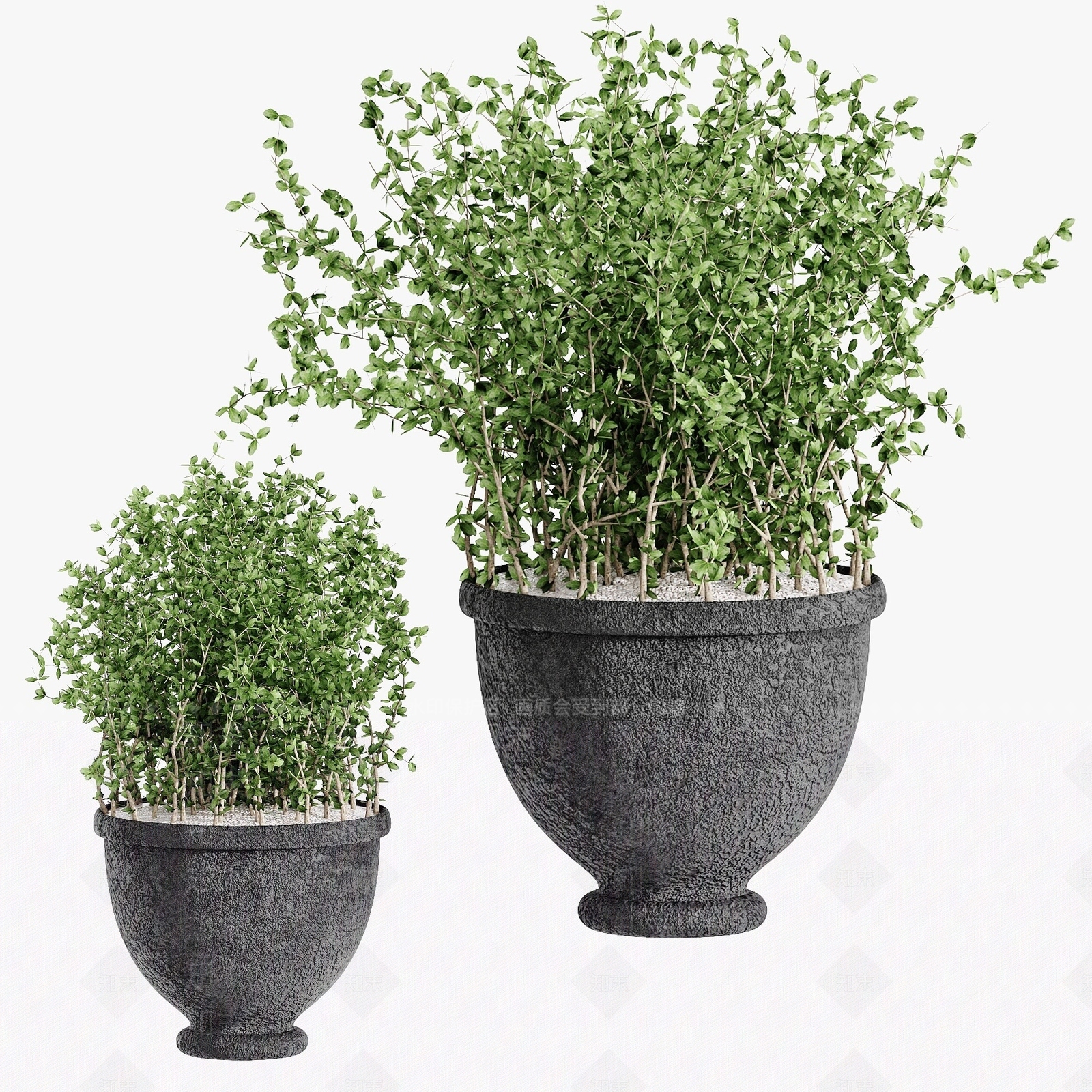 现代植物盆栽3D模型下载【ID:1193554874】