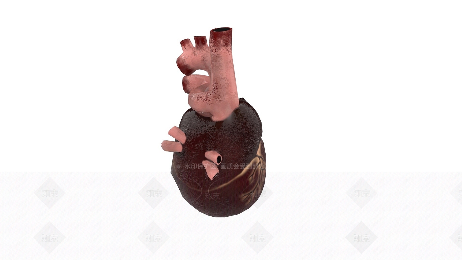 现代心脏3D模型下载【ID:1193555701】
