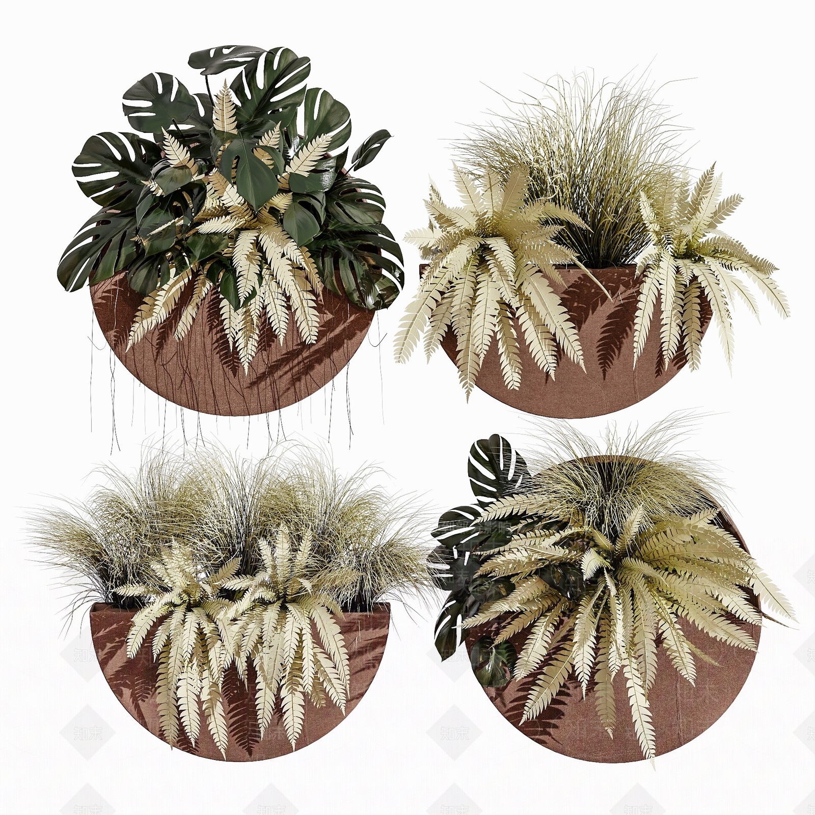 现代墙饰植物盆栽花卉3D模型下载【ID:1193561174】