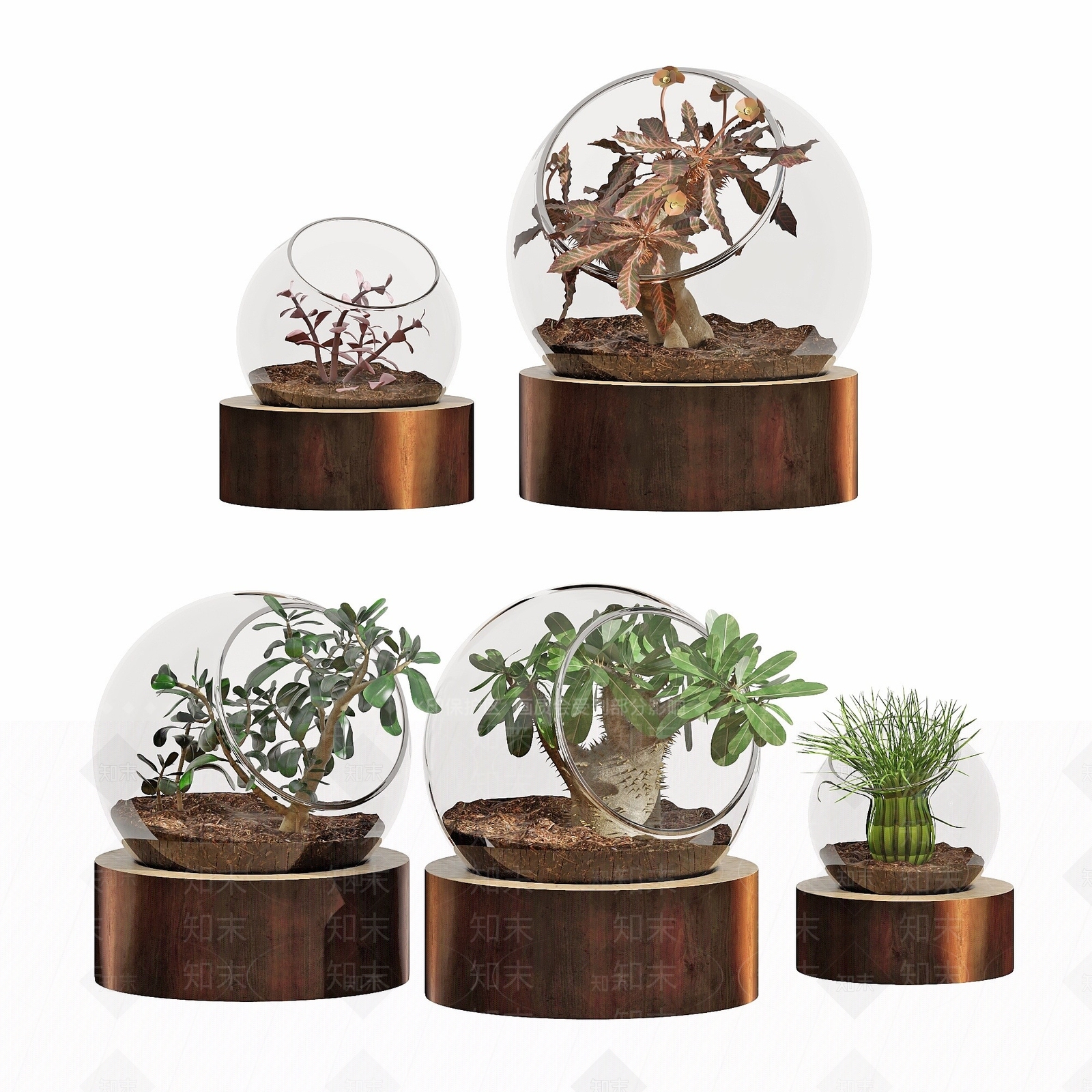 现代玻璃植物花卉盆栽3D模型下载【ID:1193561840】