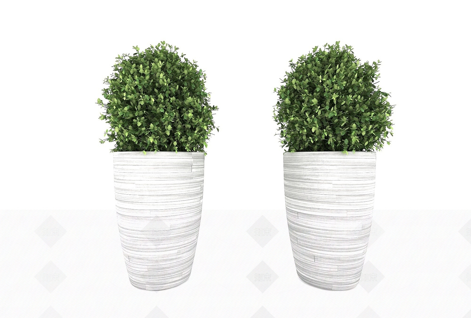 现代绿植植物3D模型下载【ID:1193566932】