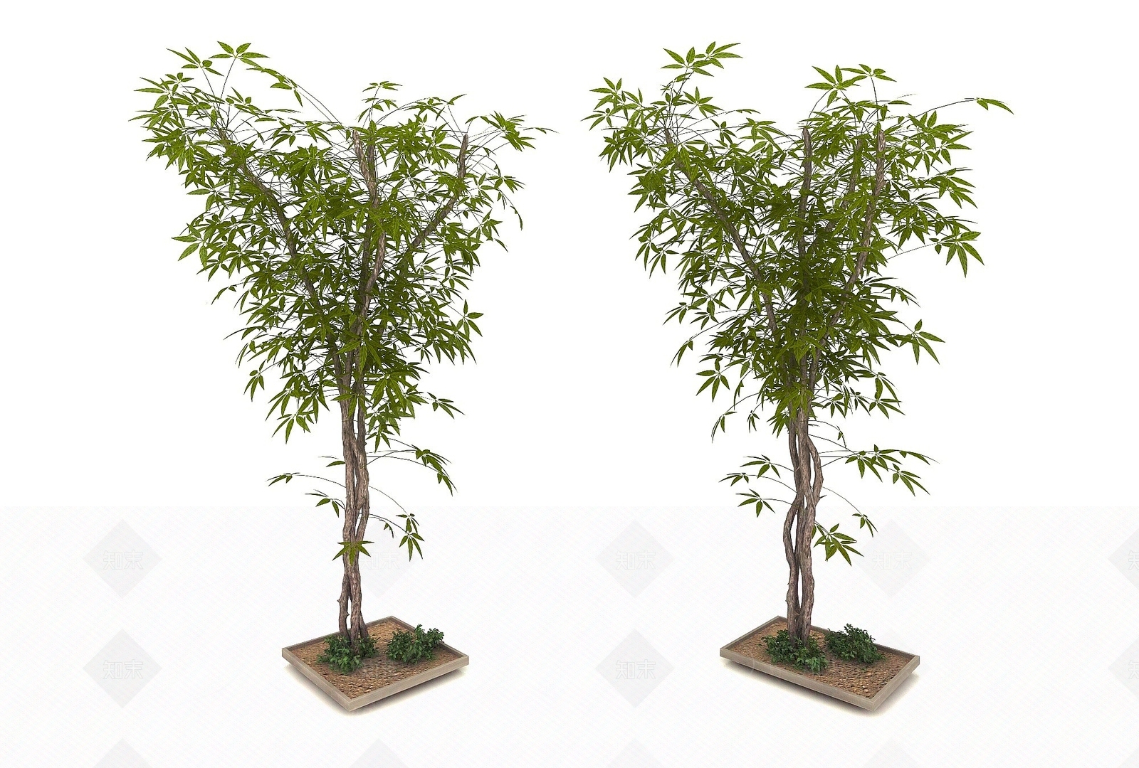现代绿植3D模型下载【ID:1193568640】