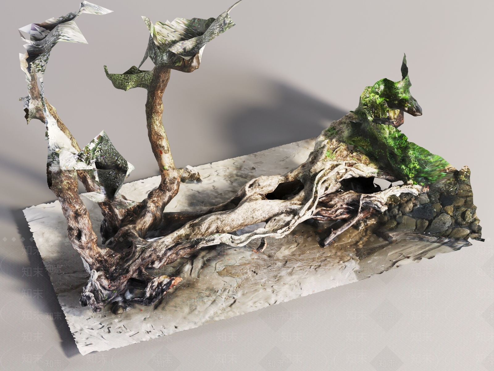 其他树木3D模型下载【ID:1193618141】