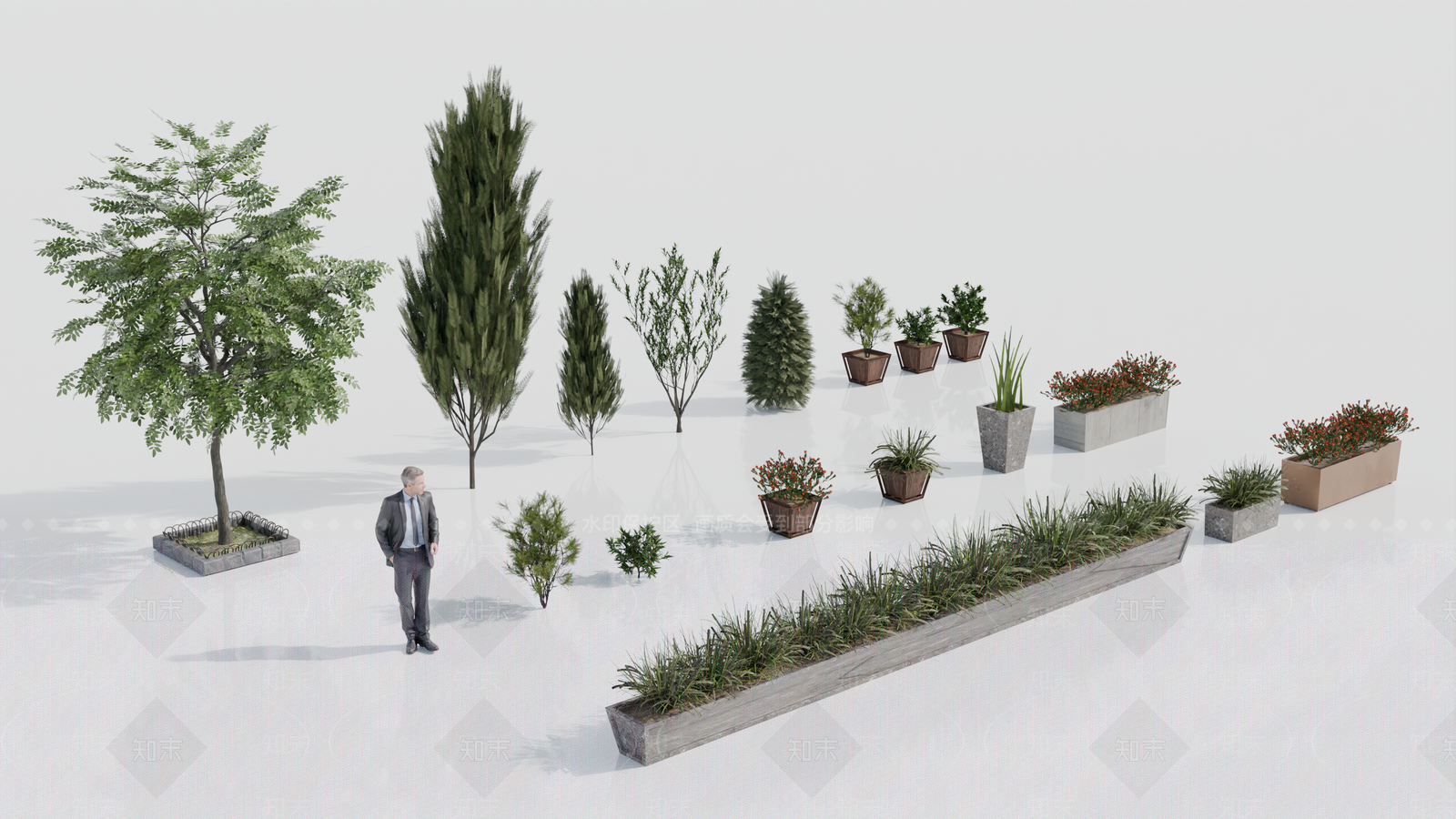 植物组合SU模型下载【ID:1193654095】