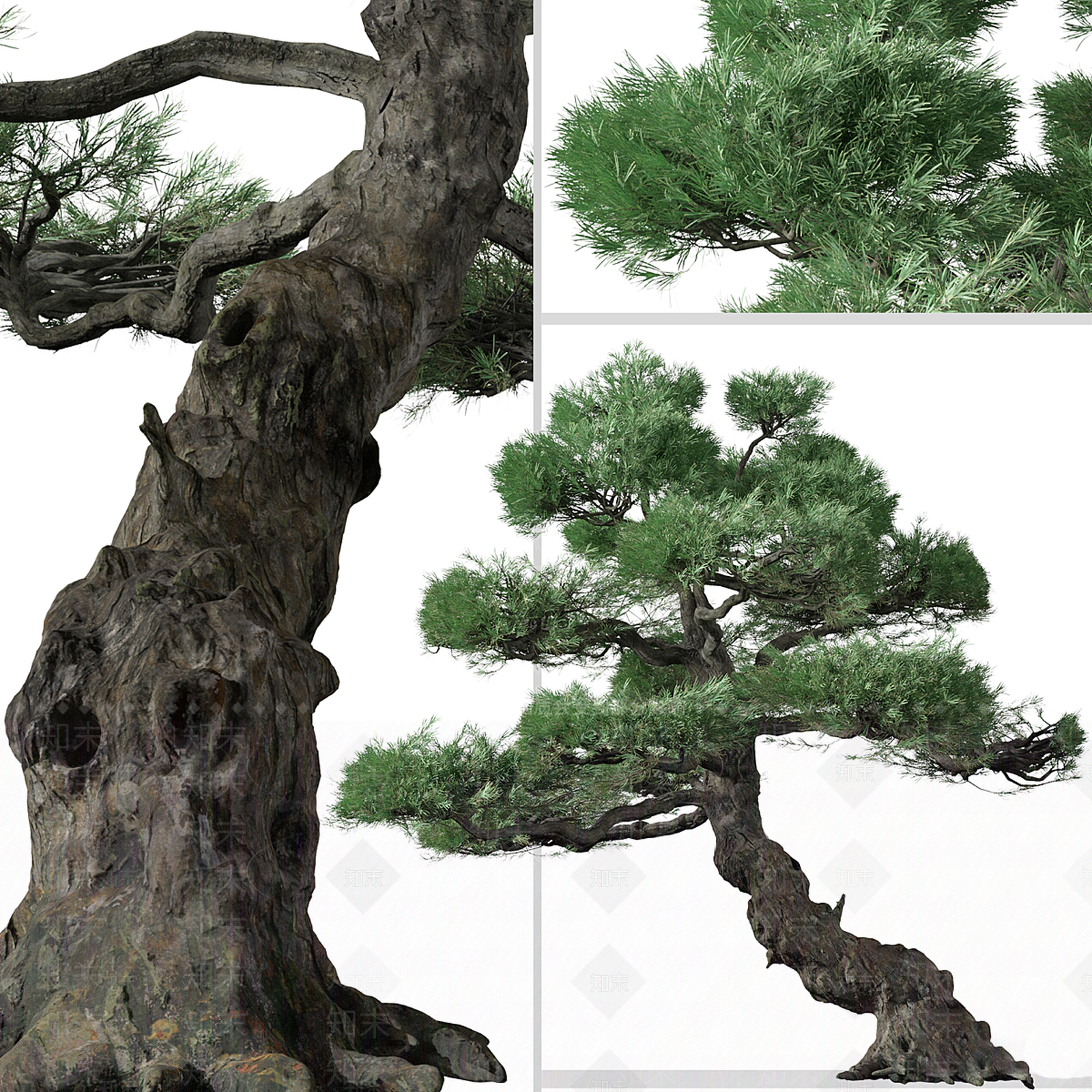 景观树3D模型下载【ID:1193654982】