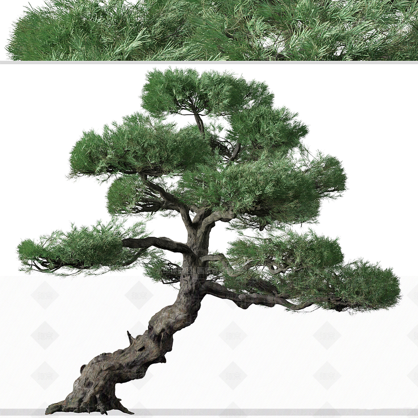 景观树3D模型下载【ID:1193654982】