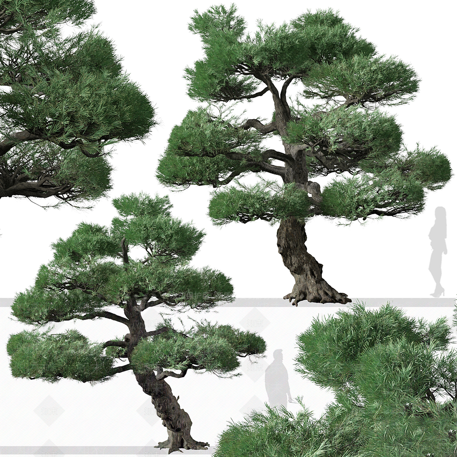 景观树3D模型下载【ID:1193654982】