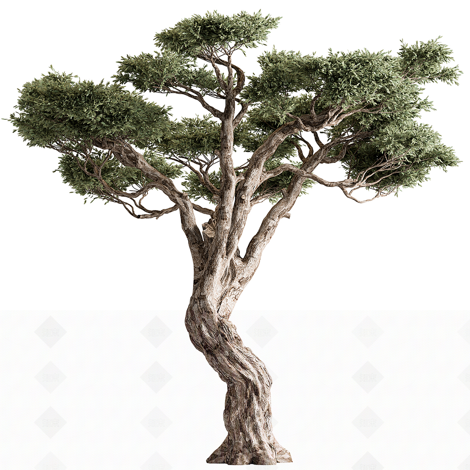 其他树木3D模型下载【ID:1193655149】