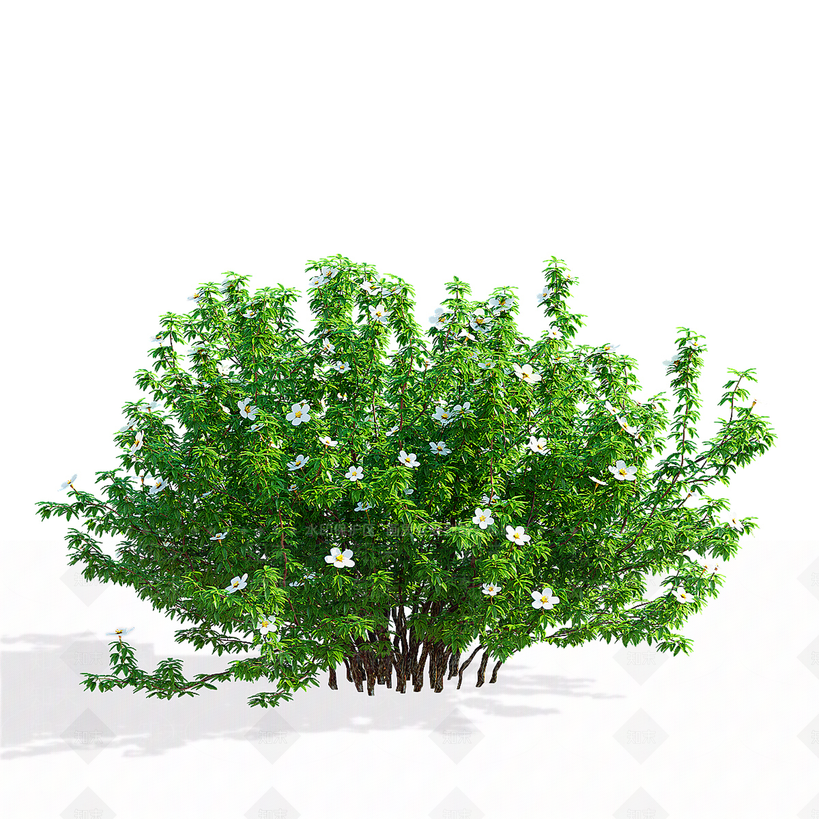 灌木3D模型下载【ID:1193663362】