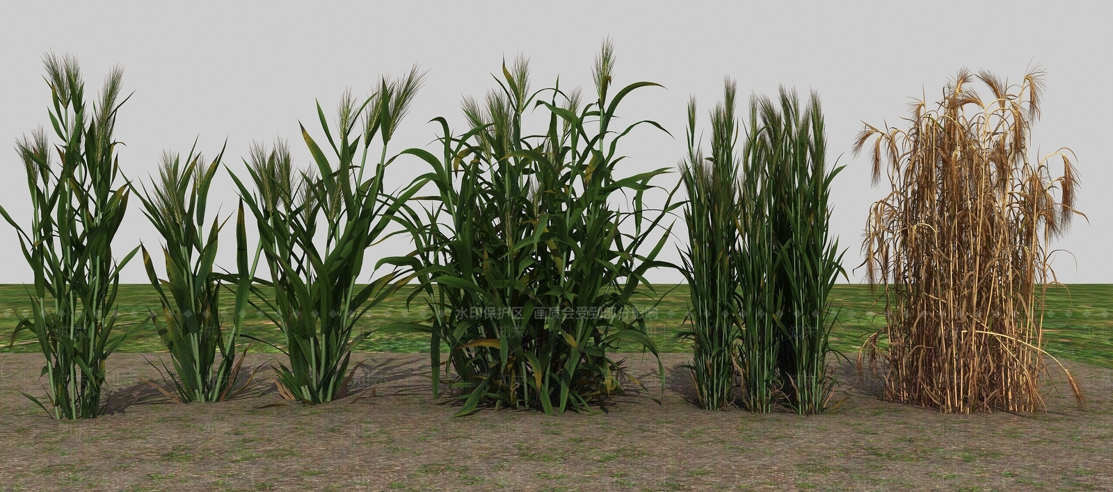 现代农业作物3D模型下载【ID:1193665718】
