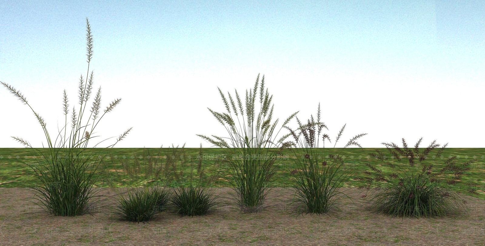 现代草本植物3D模型下载【ID:1193665949】