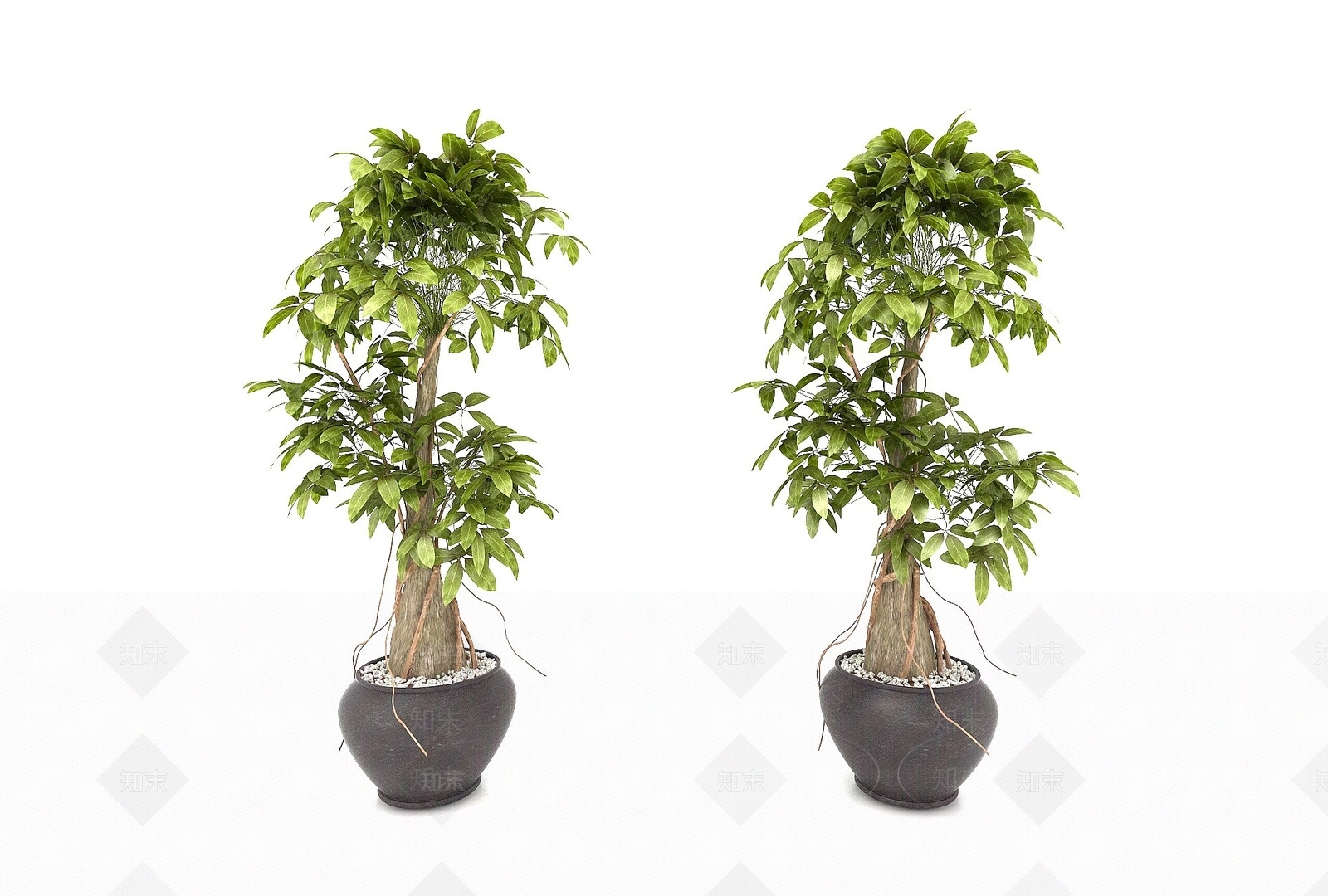 现代植物绿植盆栽3D模型下载【ID:1193670488】