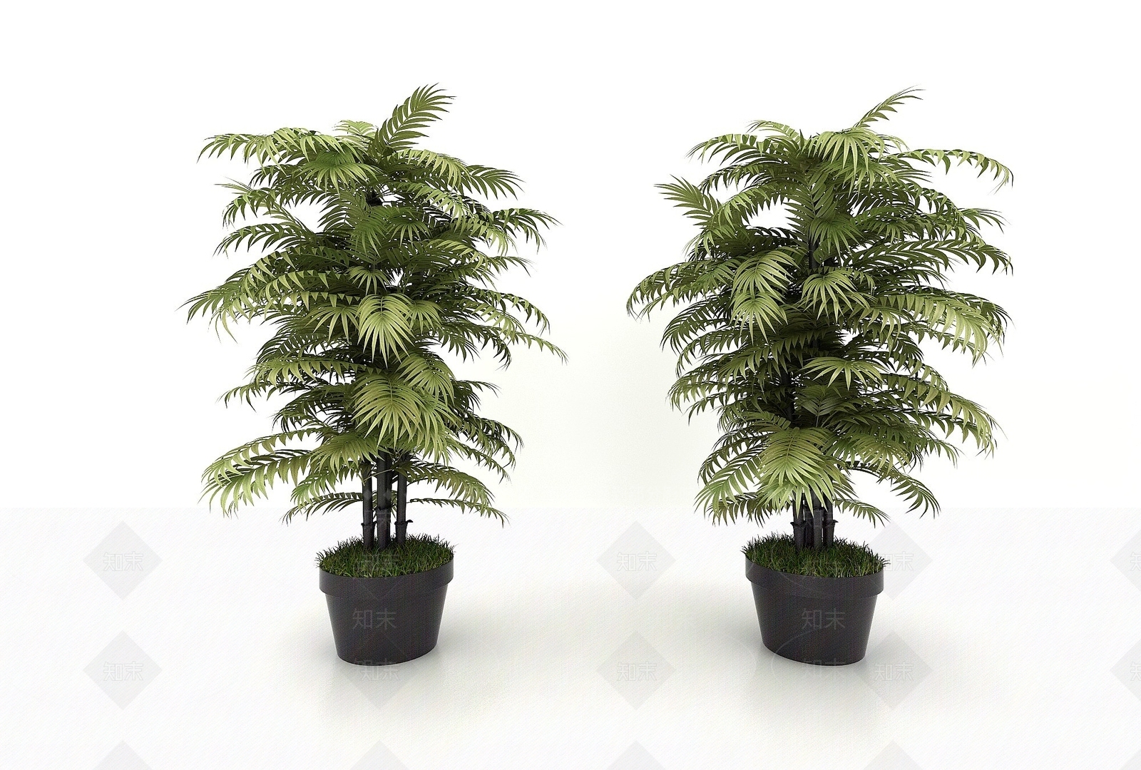 现代绿植3D模型下载【ID:1193677727】