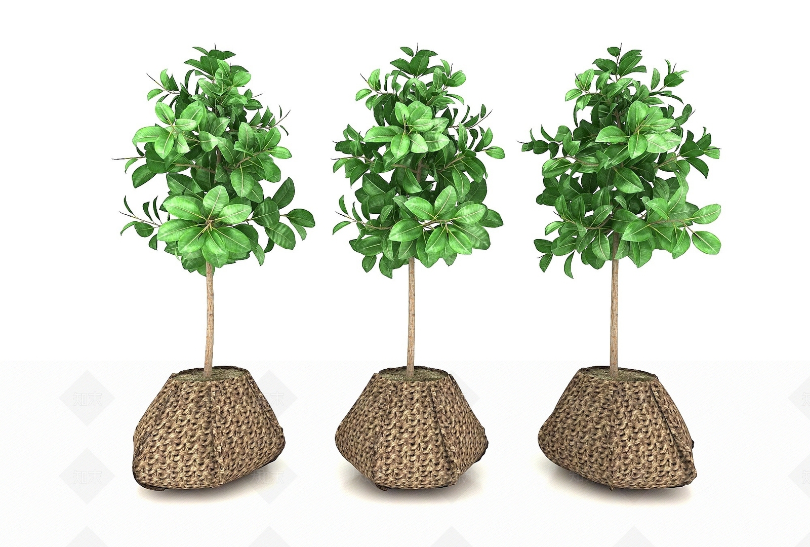 现代植物3D模型下载【ID:1193679493】