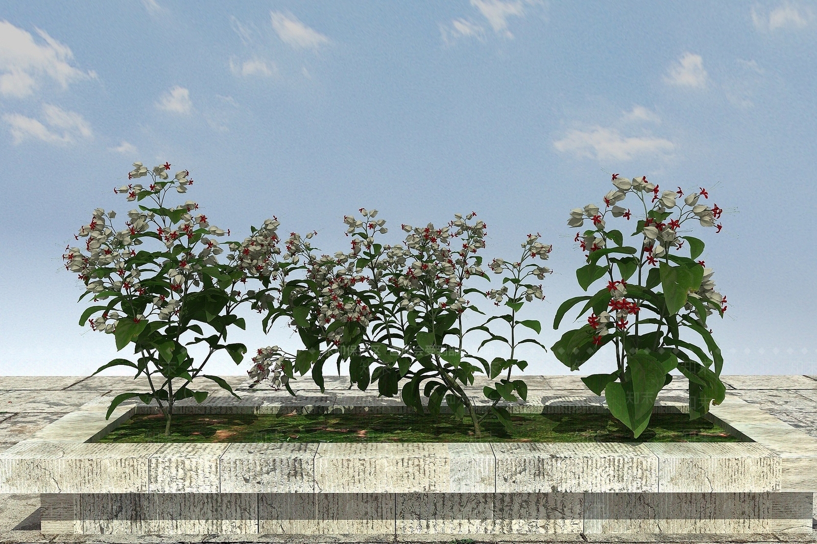 现代开花植物3D模型下载【ID:1193683076】
