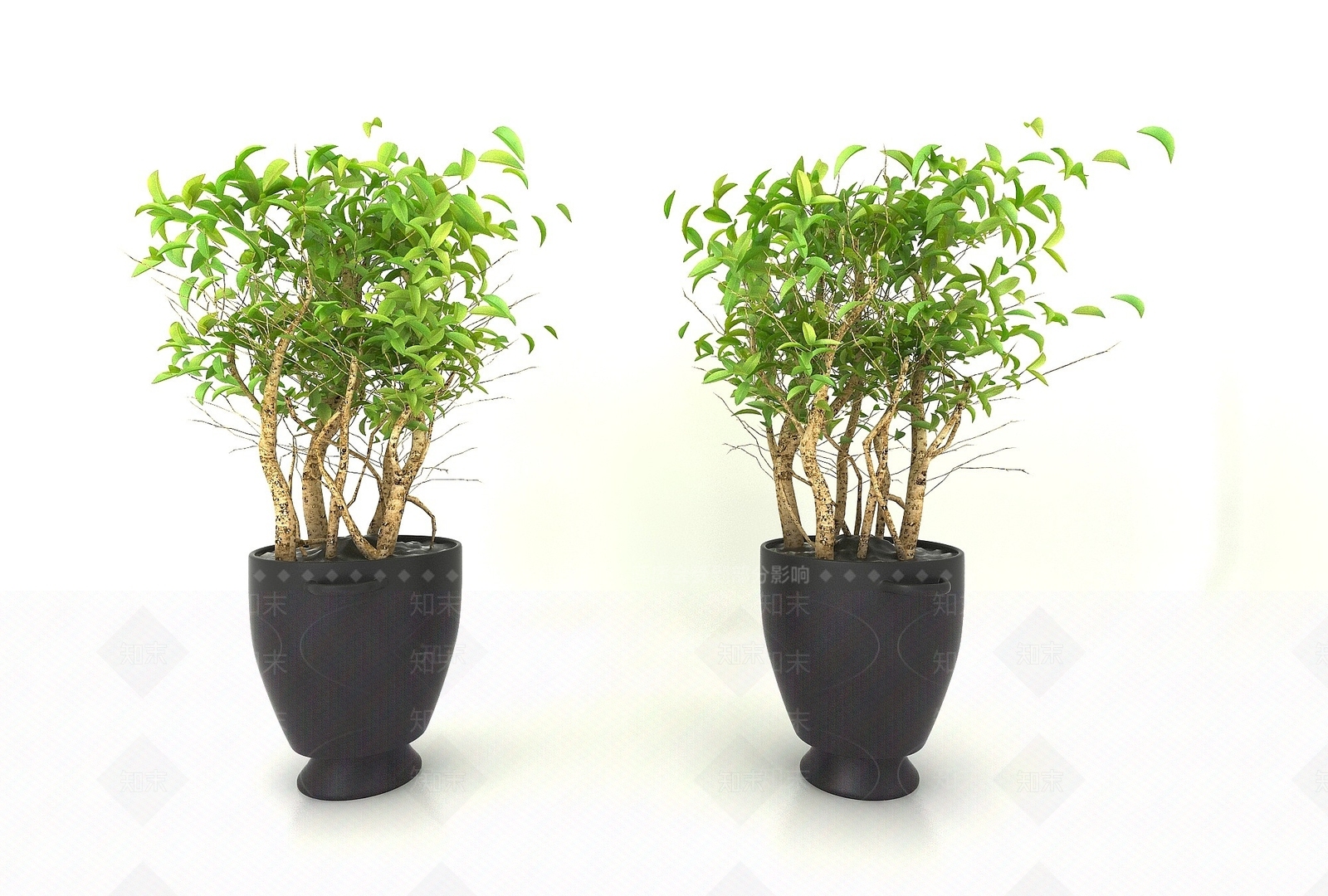 现代盆栽绿植3D模型下载【ID:1193684281】