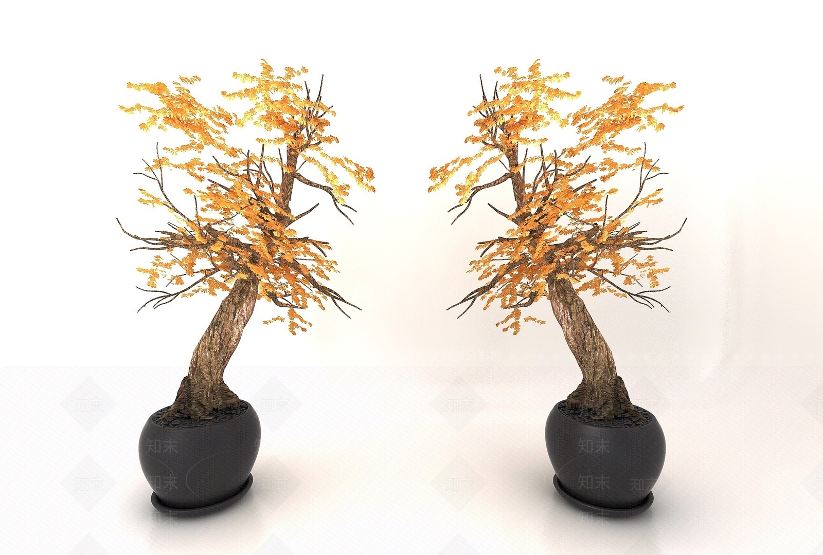 现代盆栽3D模型下载【ID:1193684248】